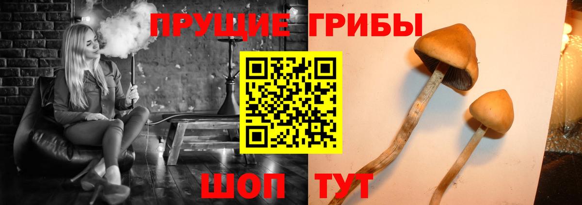 Галлюциногенные грибы Magic Shrooms Ленинск-Кузнецкий
